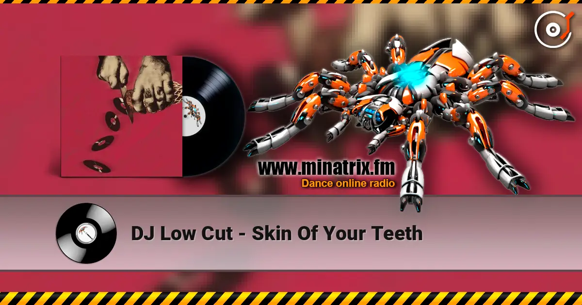 DJ Low Cut - Skin Of Your Teeth online in hoher Qualität hören | Minatrix.FM