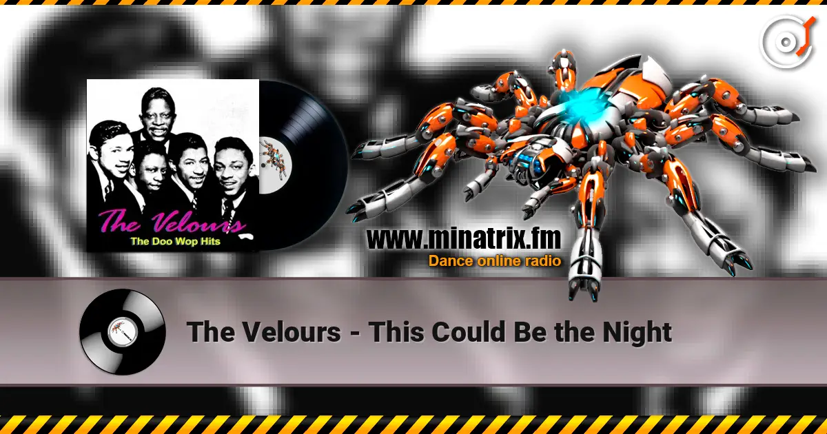 The Velours - This Could Be the Night online in hoher Qualität hören | Minatrix.FM