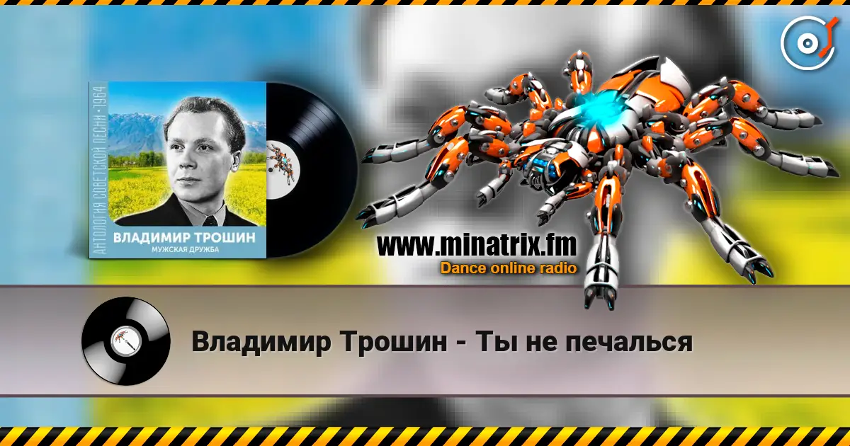 Владимир Трошин - Ты не печалься online in hoher Qualität hören | Minatrix.FM