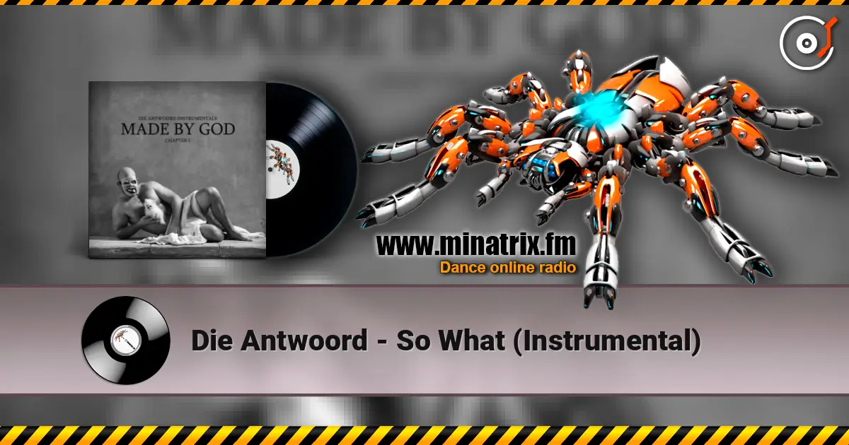 Die Antwoord - So What (Instrumental) online in hoher Qualität hören | Minatrix.FM