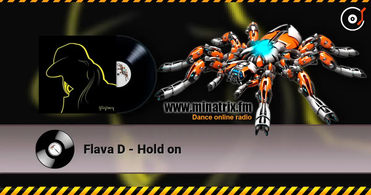 Flava D - Hold on online in hoher Qualität hören | Minatrix.FM