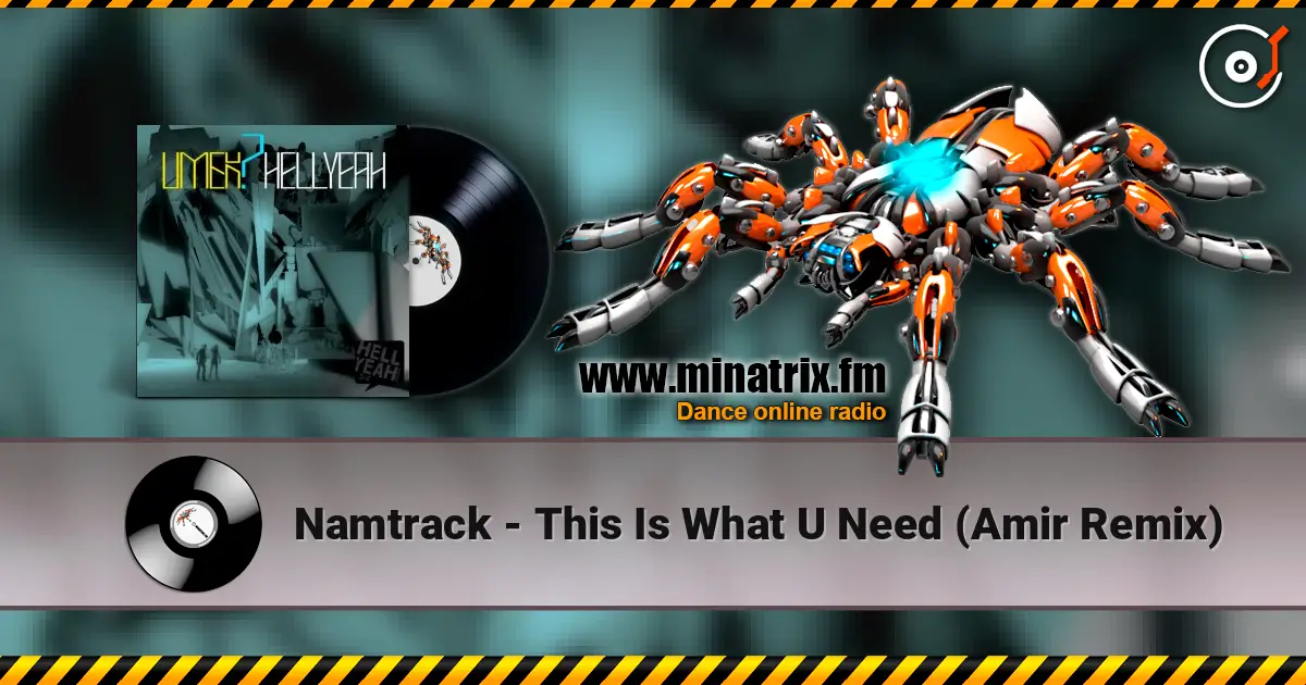 Namtrack - This Is What U Need (Amir Remix) online in hoher Qualität hören | Minatrix.FM