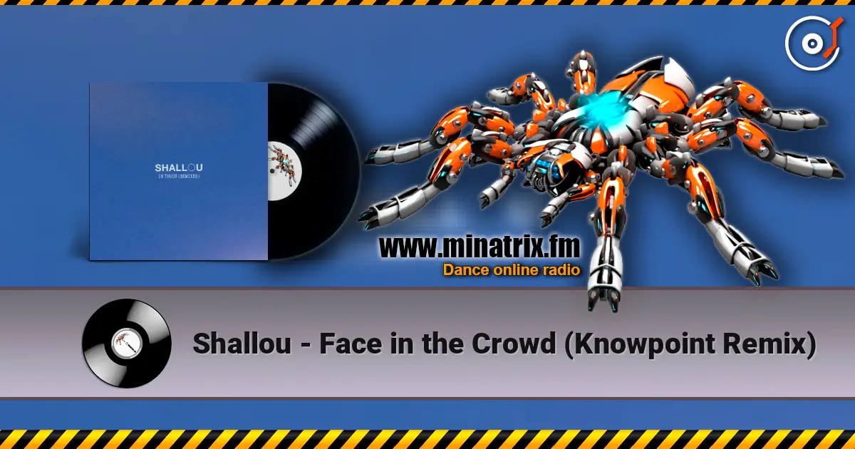 Shallou - Face in the Crowd (Knowpoint Remix) online in hoher Qualität hören | Minatrix.FM