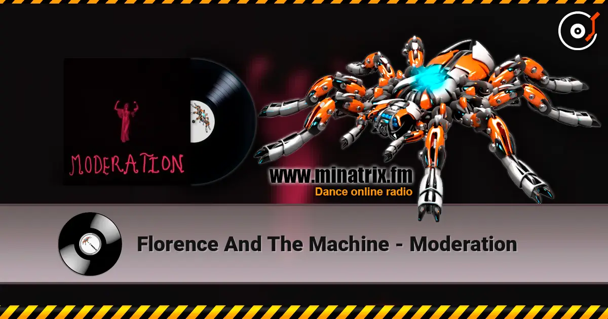 Florence And The Machine - Moderation online in hoher Qualität hören | Minatrix.FM