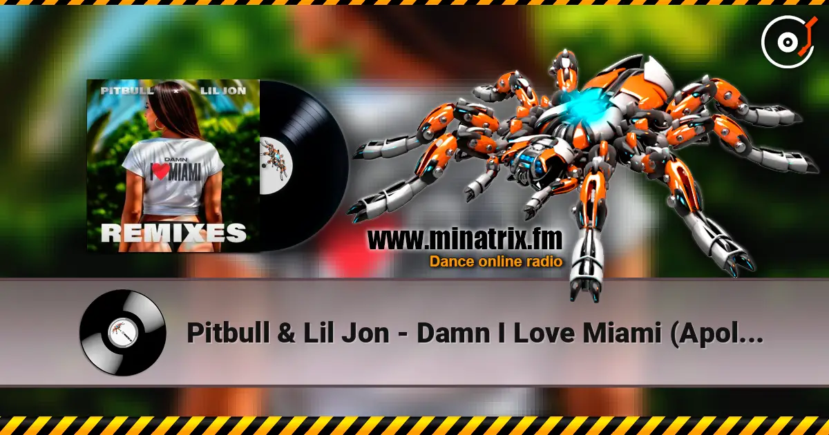 Pitbull & Lil Jon - Damn I Love Miami (Apollo XO Remix) online in hoher Qualität hören | Minatrix.FM