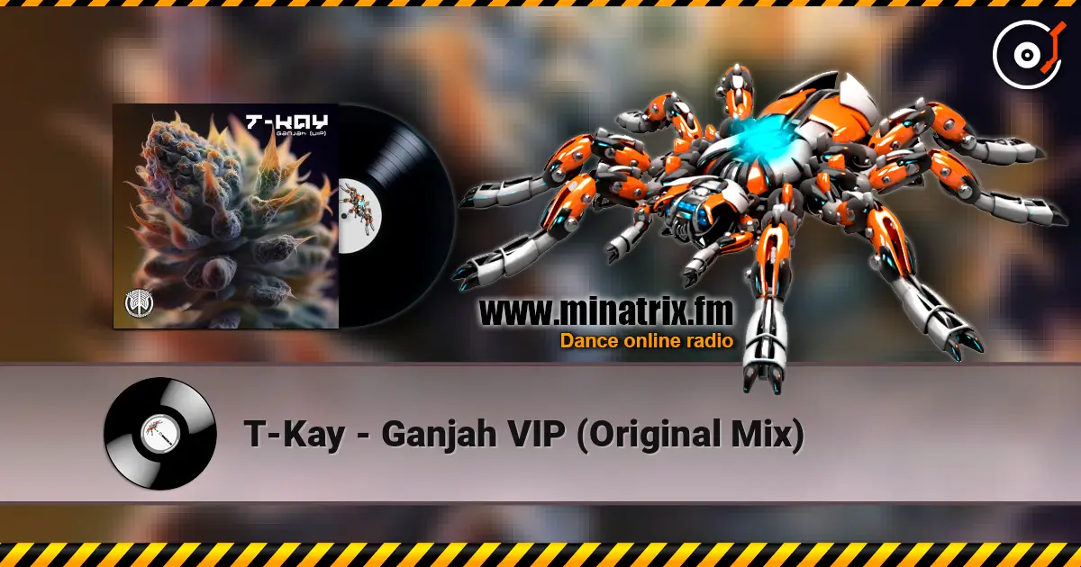 T-Kay - Ganjah VIP (Original Mix) online in hoher Qualität hören | Minatrix.FM