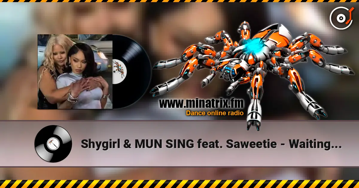 Shygirl & MUN SING feat. Saweetie - Waiting in the Car online in hoher Qualität hören | Minatrix.FM