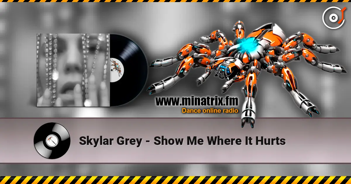 Skylar Grey - Show Me Where It Hurts online in hoher Qualität hören | Minatrix.FM