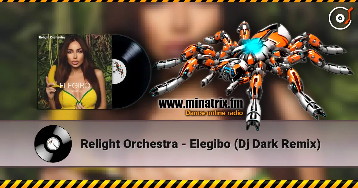 Relight Orchestra - Elegibo (Dj Dark Remix) online in hoher Qualität hören | Minatrix.FM