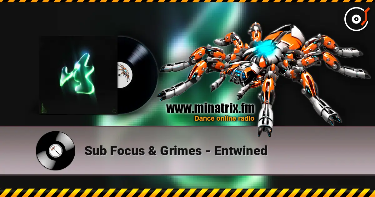 Sub Focus & Grimes - Entwined online in hoher Qualität hören | Minatrix.FM