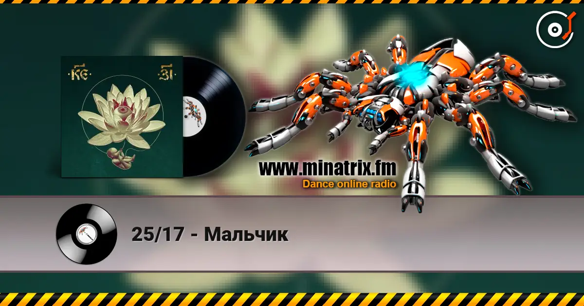 25/17 - Мальчик online in hoher Qualität hören | Minatrix.FM