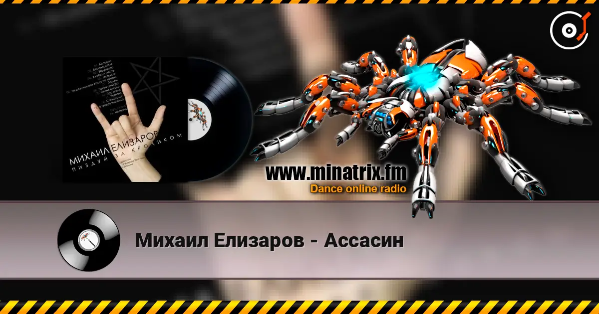 Михаил Елизаров - Ассасин online in hoher Qualität hören | Minatrix.FM