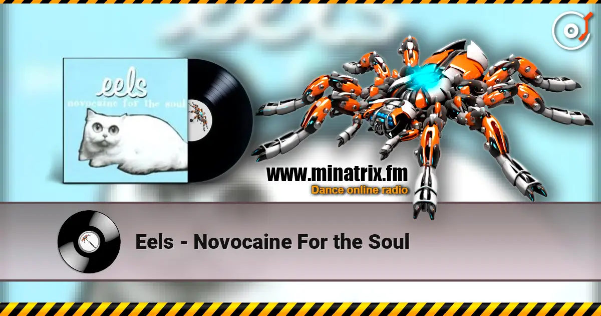 Eels - Novocaine For the Soul online in hoher Qualität hören | Minatrix.FM