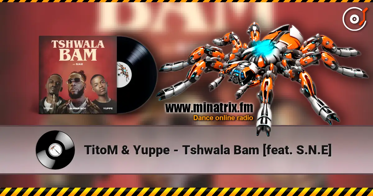 TitoM & Yuppe - Tshwala Bam [feat. S.N.E] online in hoher Qualität hören | Minatrix.FM