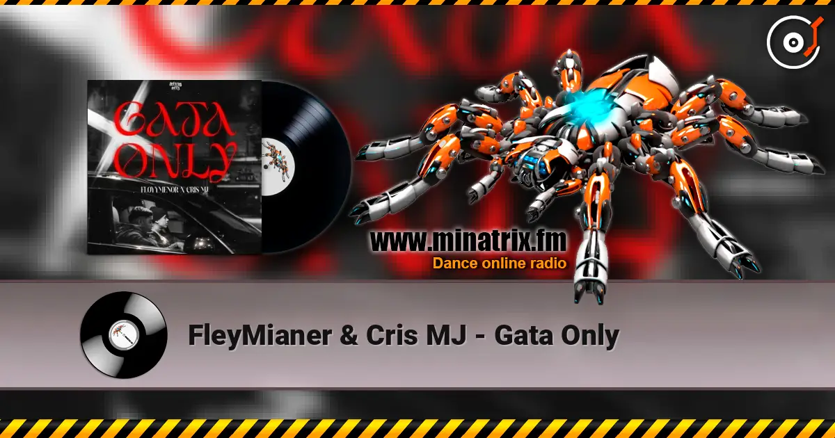 FleyMianer & Cris MJ - Gata Only online in hoher Qualität hören | Minatrix.FM