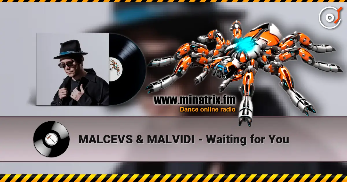 MALCEVS & MALVIDI - Waiting for You online in hoher Qualität hören | Minatrix.FM