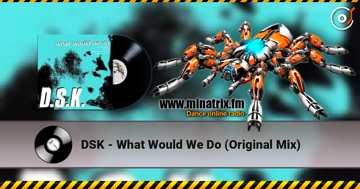 DSK - What Would We Do (Original Mix) online in hoher Qualität hören | Minatrix.FM