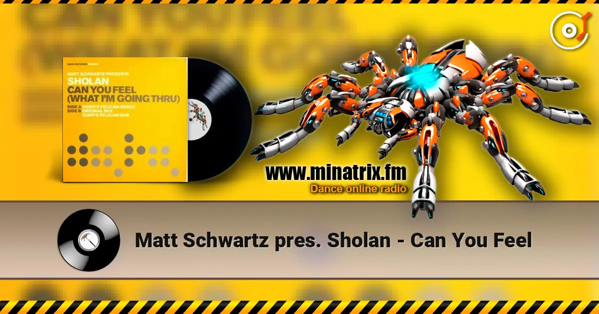 Matt Schwartz pres. Sholan - Can You Feel online in hoher Qualität hören | Minatrix.FM