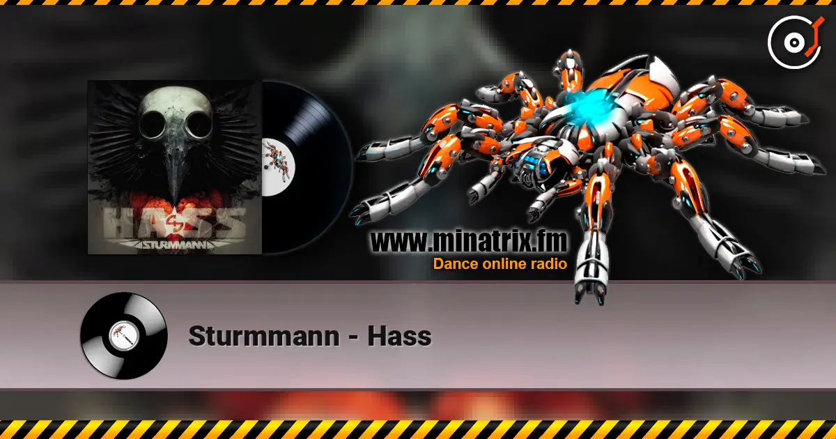 Sturmmann - Hass online in hoher Qualität hören | Minatrix.FM
