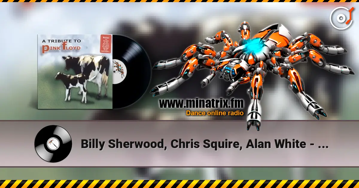 Billy Sherwood, Chris Squire, Alan White - Comfortably Numb online in hoher Qualität hören | Minatrix.FM