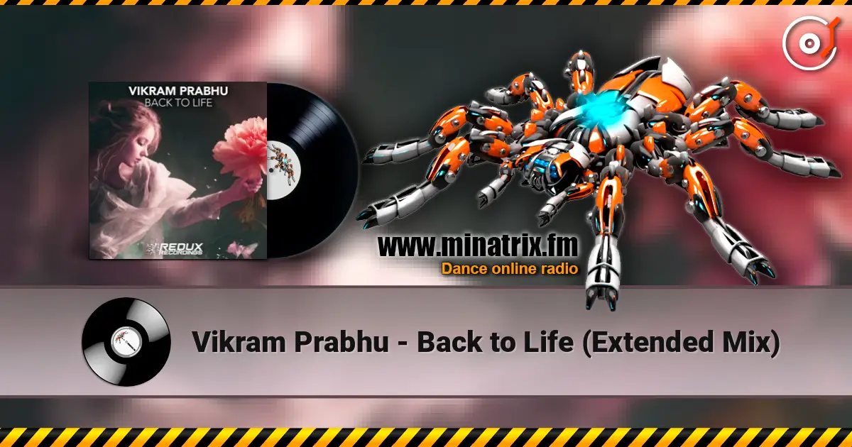 Vikram Prabhu - Back to Life (Extended Mix) online in hoher Qualität hören | Minatrix.FM