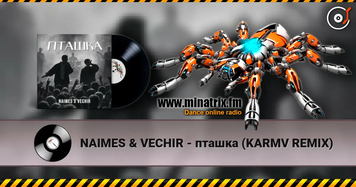 NAIMES & VECHIR - пташка (KARMV REMIX) online in hoher Qualität hören | Minatrix.FM