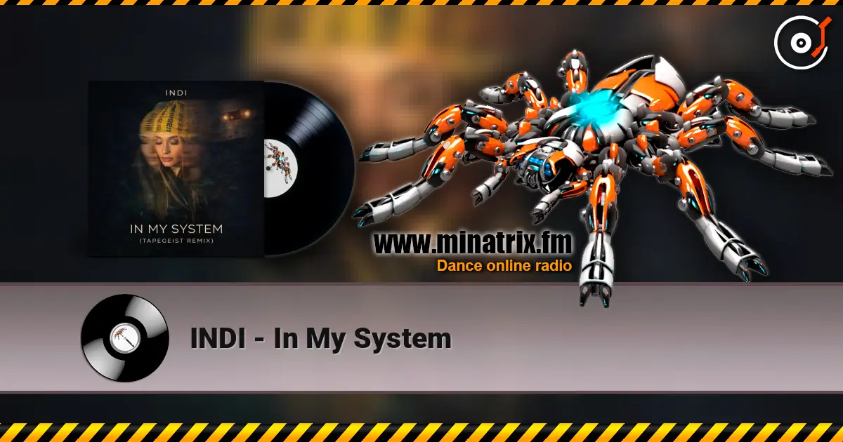 INDI - In My System online in hoher Qualität hören | Minatrix.FM