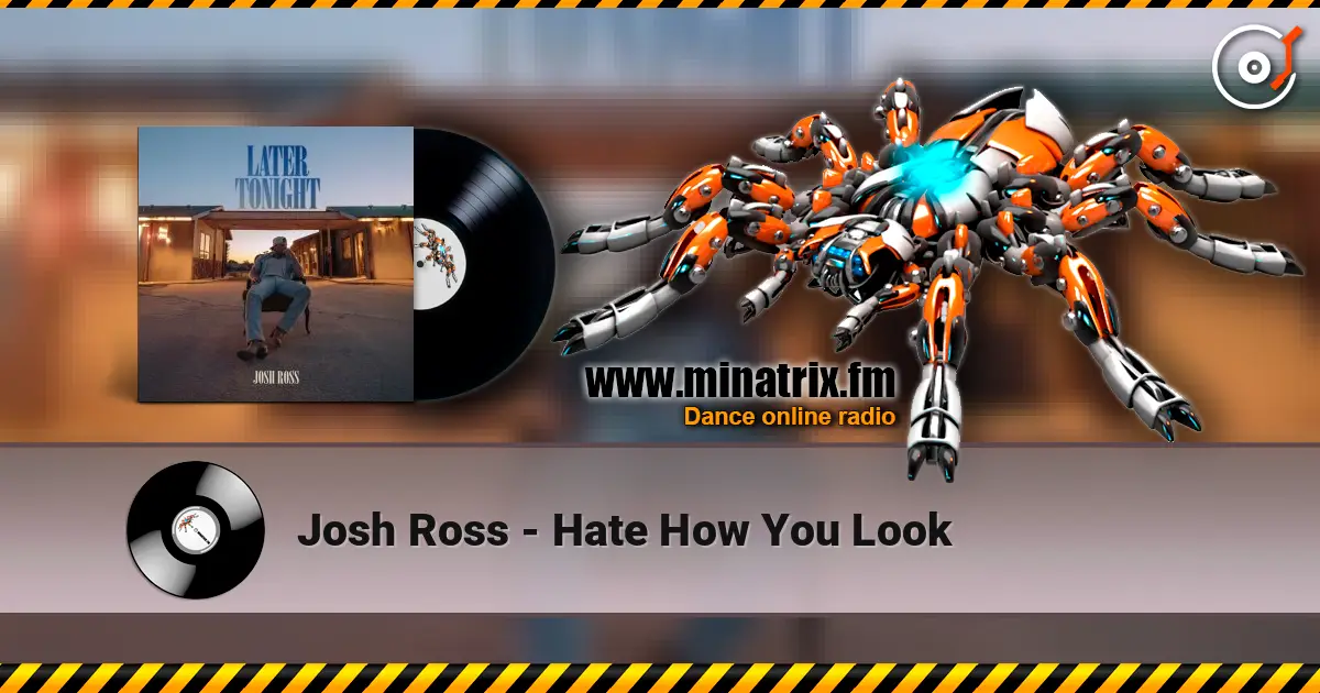 Josh Ross - Hate How You Look online in hoher Qualität hören | Minatrix.FM