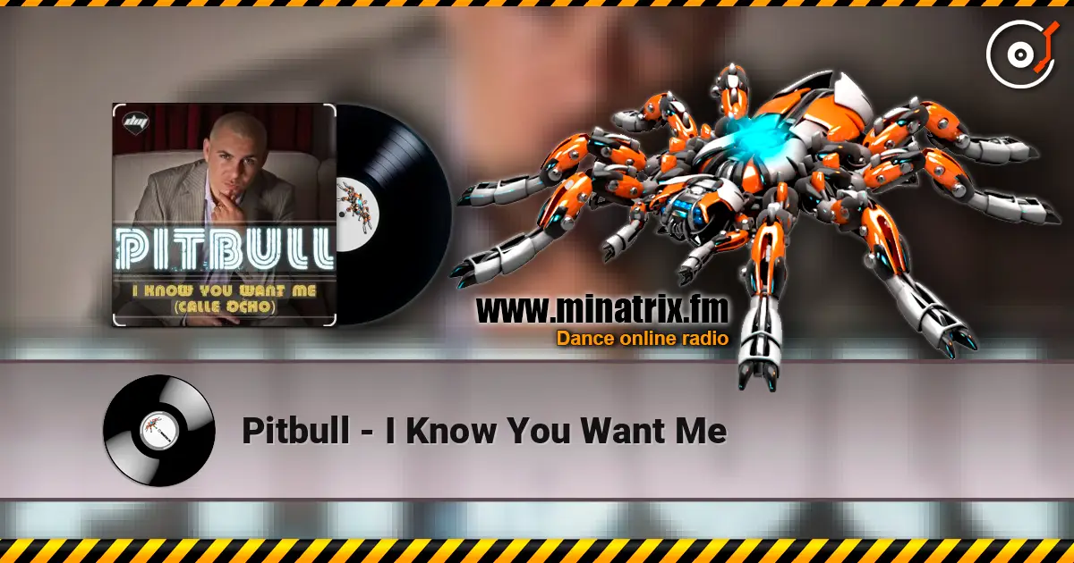 Pitbull - I Know You Want Me online in hoher Qualität hören | Minatrix.FM