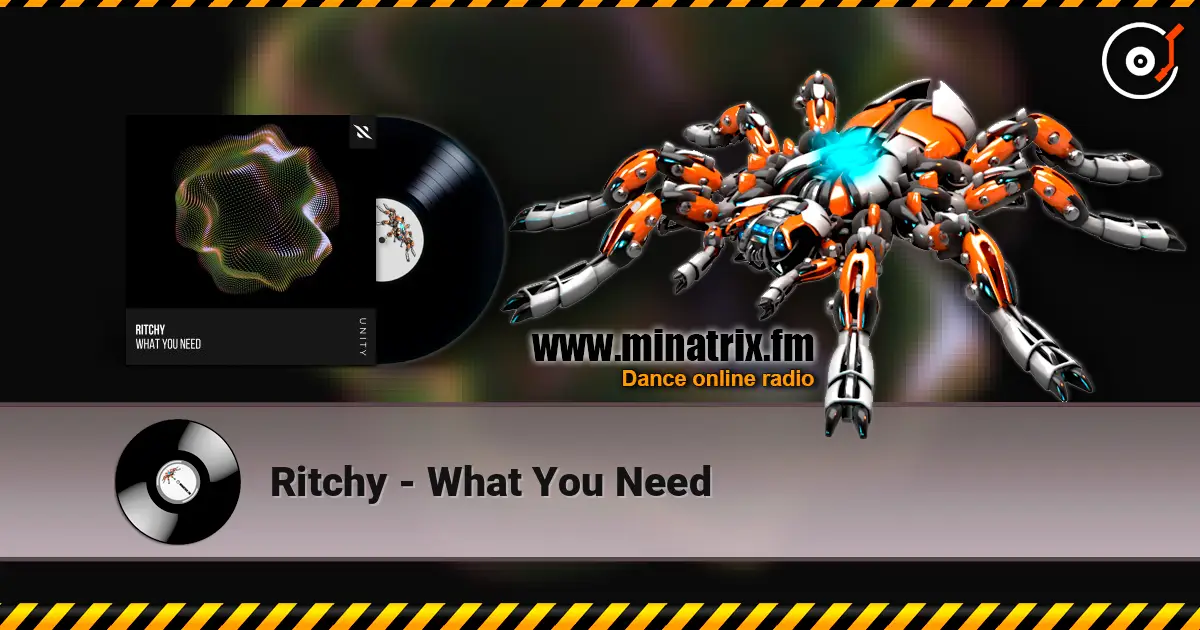 Ritchy - What You Need online in hoher Qualität hören | Minatrix.FM