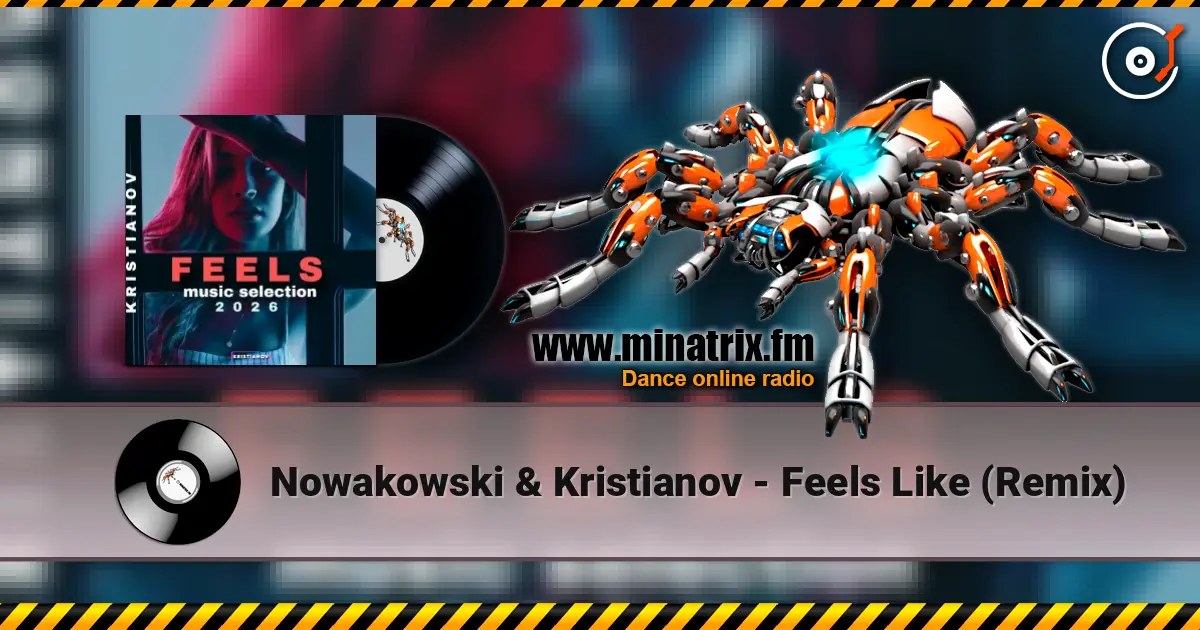 Nowakowski & Kristianov - Feels Like (Remix) online in hoher Qualität hören | Minatrix.FM