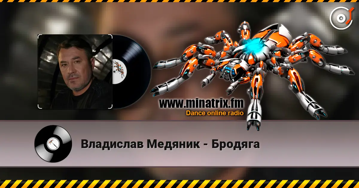 Владислав Медяник - Бродяга online in hoher Qualität hören | Minatrix.FM
