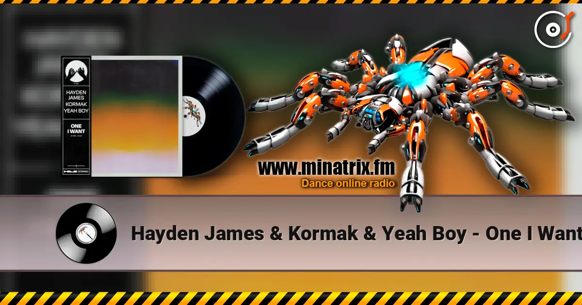 Hayden James & Kormak & Yeah Boy - One I Want online in hoher Qualität hören | Minatrix.FM