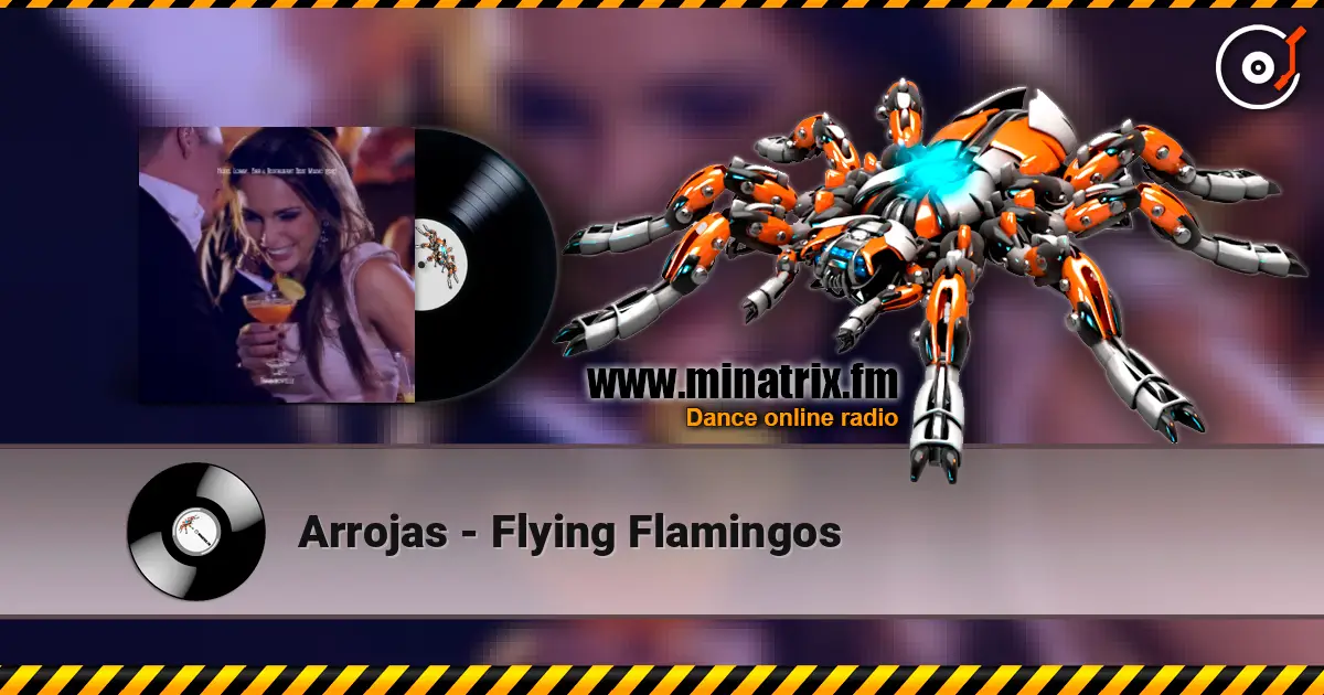 Arrojas - Flying Flamingos online in hoher Qualität hören | Minatrix.FM