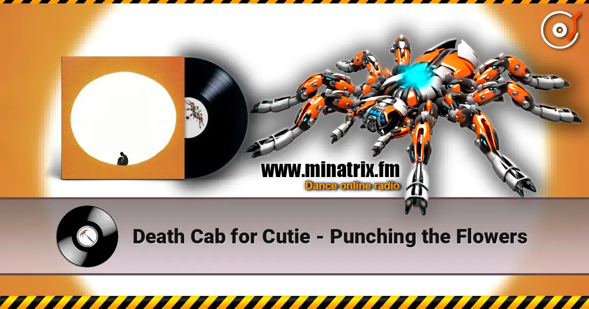 Death Cab for Cutie - Punching the Flowers online in hoher Qualität hören | Minatrix.FM