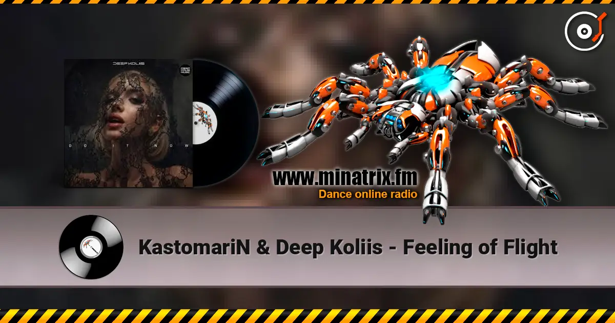 KastomariN & Deep Koliis - Feeling of Flight online in hoher Qualität hören | Minatrix.FM