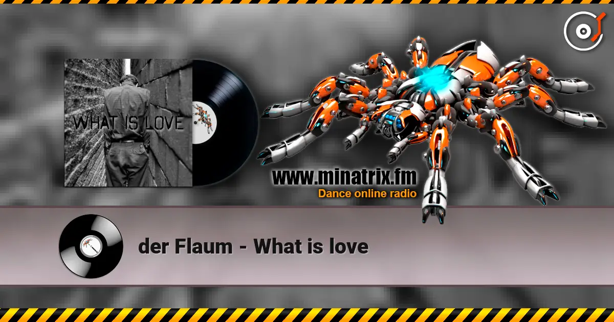 der Flaum - What is love online in hoher Qualität hören | Minatrix.FM