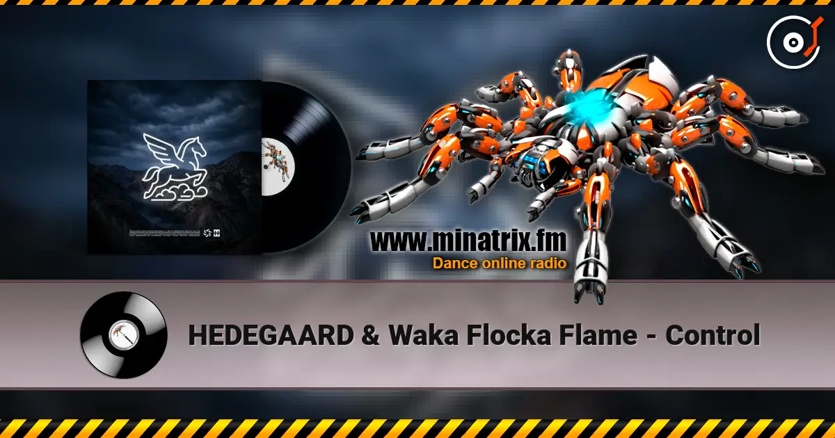 HEDEGAARD & Waka Flocka Flame - Control online in hoher Qualität hören | Minatrix.FM