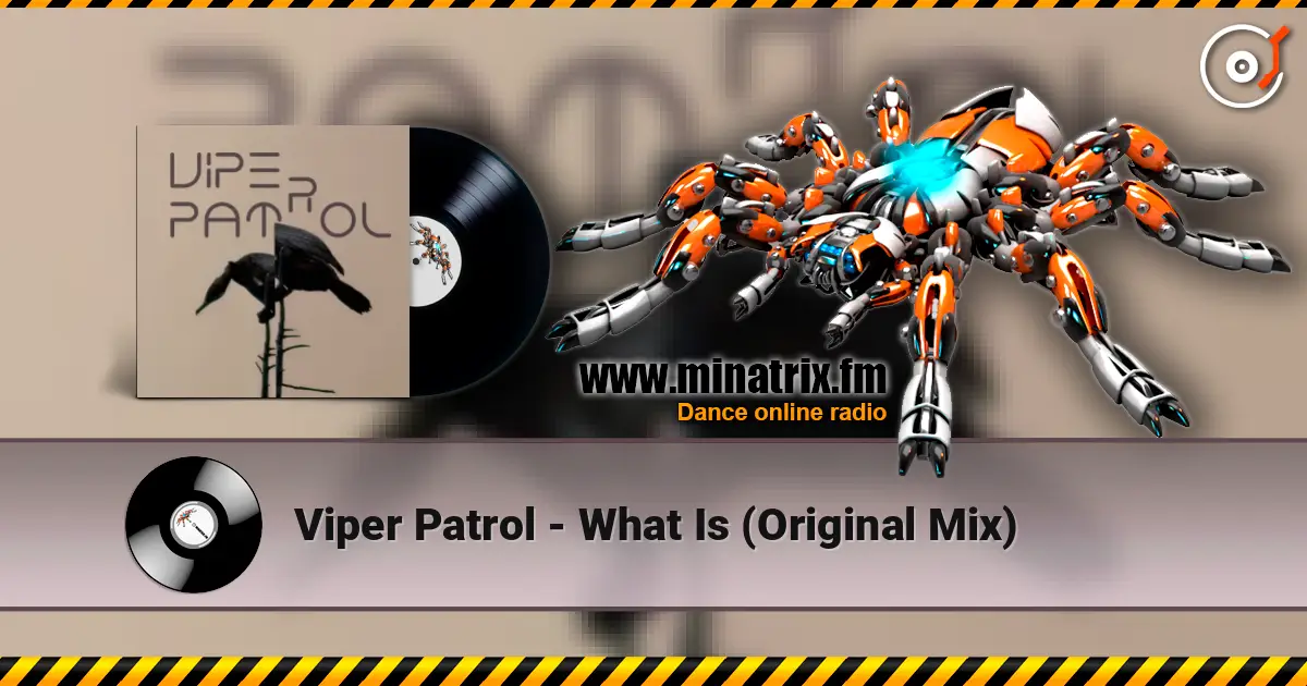 Viper Patrol - What Is (Original Mix) online in hoher Qualität hören | Minatrix.FM