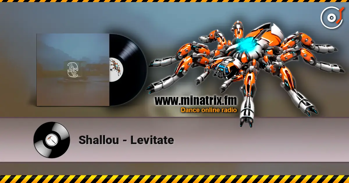 Shallou - Levitate online in hoher Qualität hören | Minatrix.FM