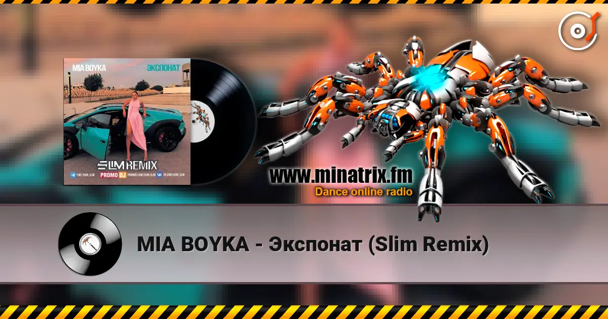 MIA BOYKA - Экспонат (Slim Remix) online in hoher Qualität hören | Minatrix.FM