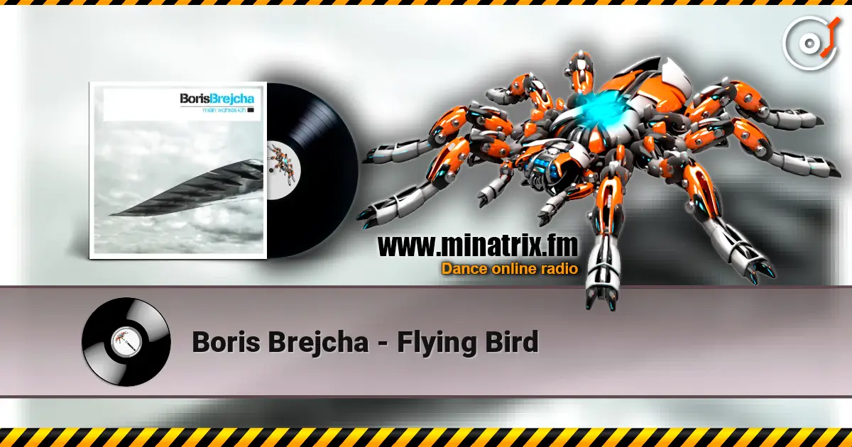 Boris Brejcha - Flying Bird online in hoher Qualität hören | Minatrix.FM