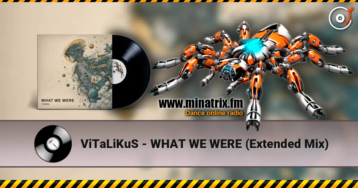 ViTaLiKuS - WHAT WE WERE (Extended Mix) online in hoher Qualität hören | Minatrix.FM