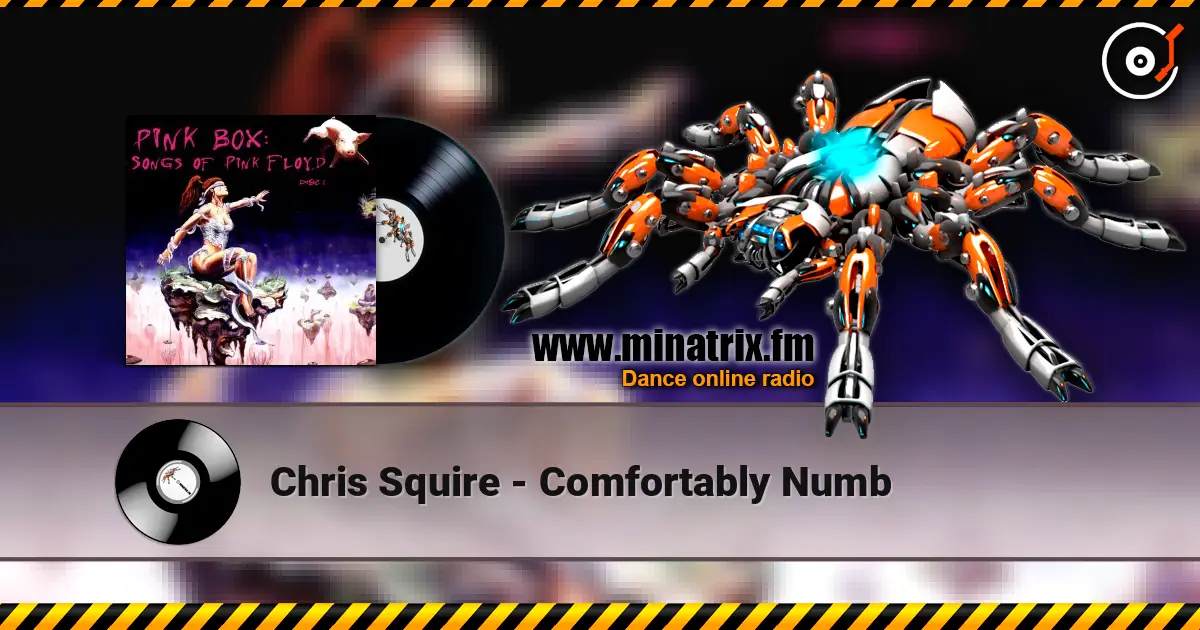 Chris Squire - Comfortably Numb online in hoher Qualität hören | Minatrix.FM