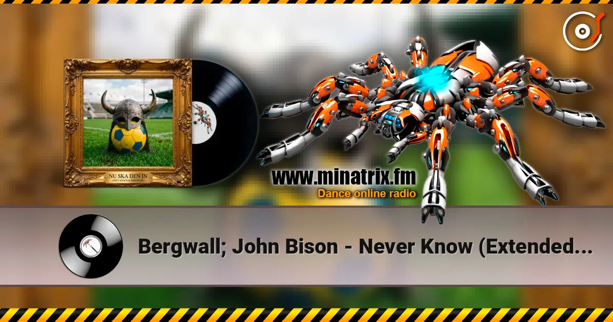 Bergwall; John Bison - Never Know (Extended Mix) online in hoher Qualität hören | Minatrix.FM
