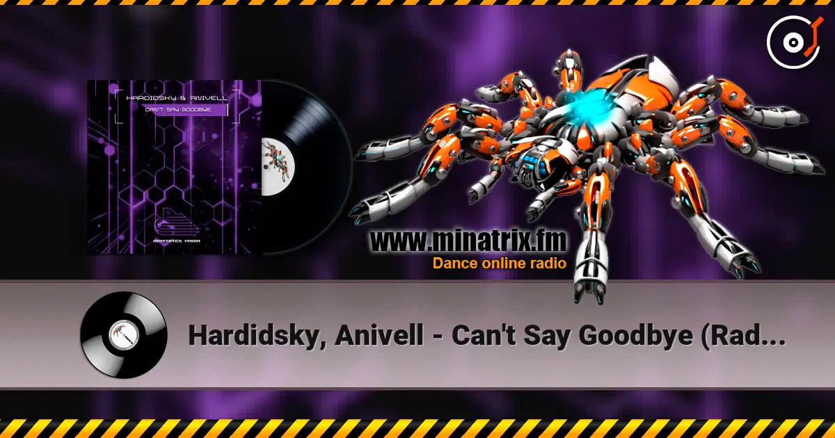 Hardidsky, Anivell - Can't Say Goodbye (Radio Mix) online in hoher Qualität hören | Minatrix.FM