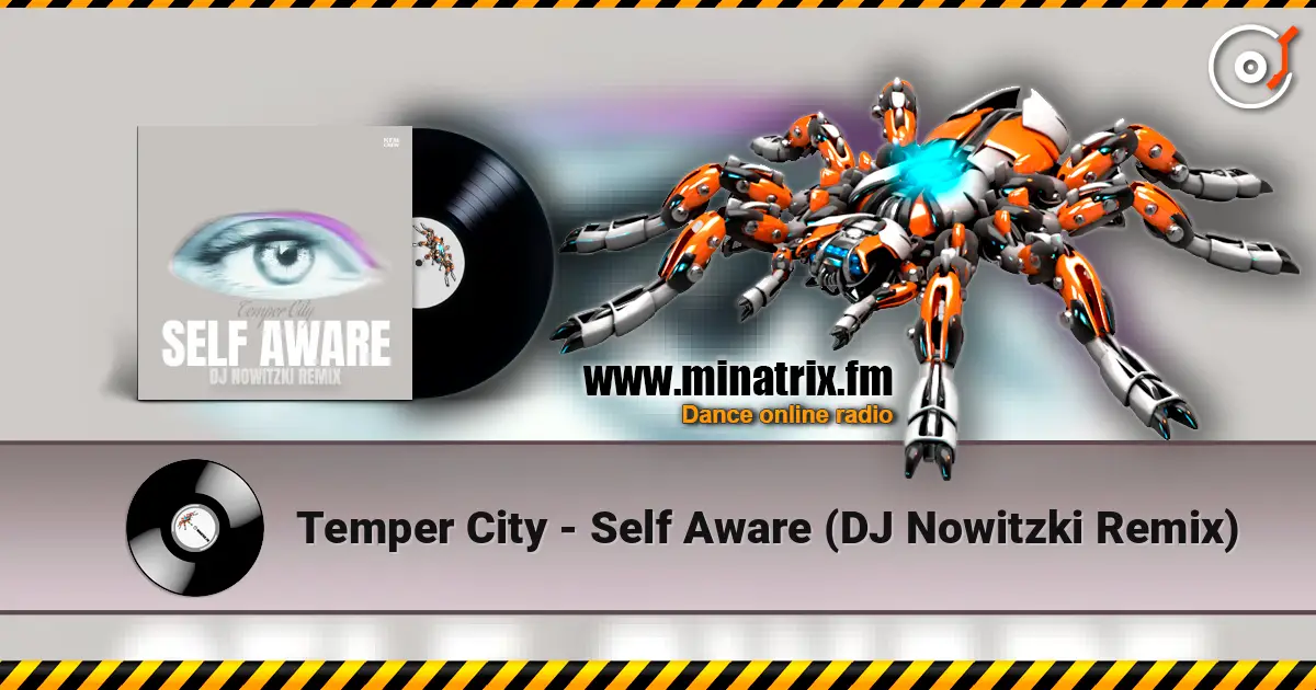 Temper City - Self Aware (DJ Nowitzki Remix) online in hoher Qualität hören | Minatrix.FM