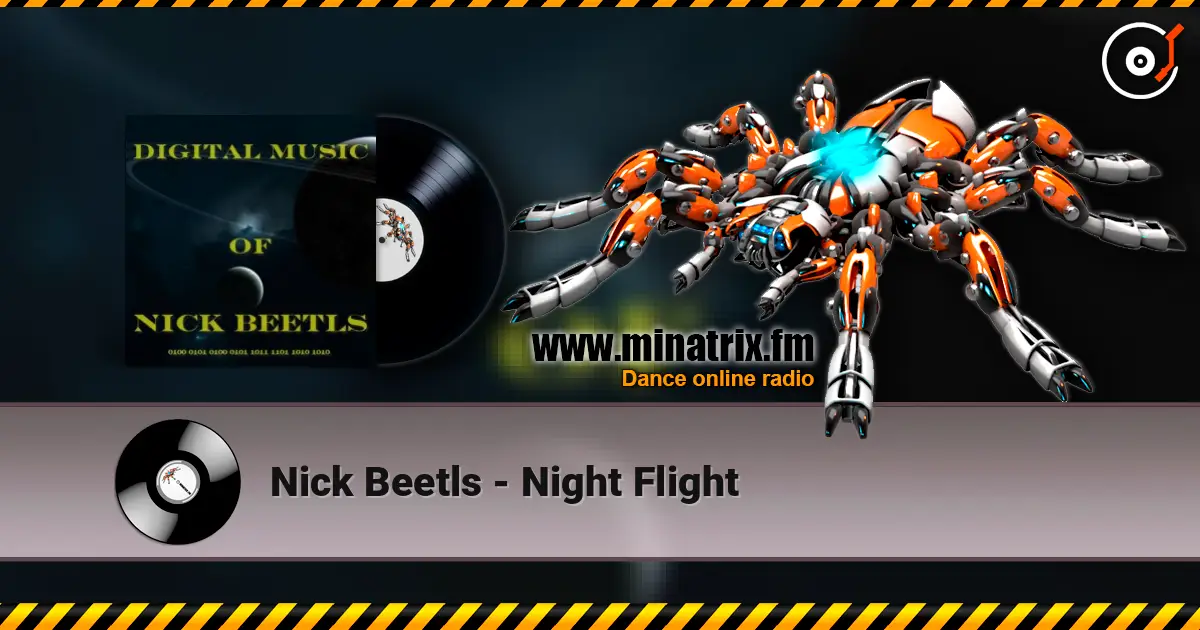 Nick Beetls - Night Flight online in hoher Qualität hören | Minatrix.FM