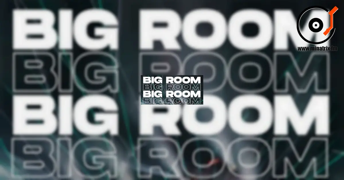 Die Geschichte des Big Room House: Das Genre, das die Dancefloors veränderte
